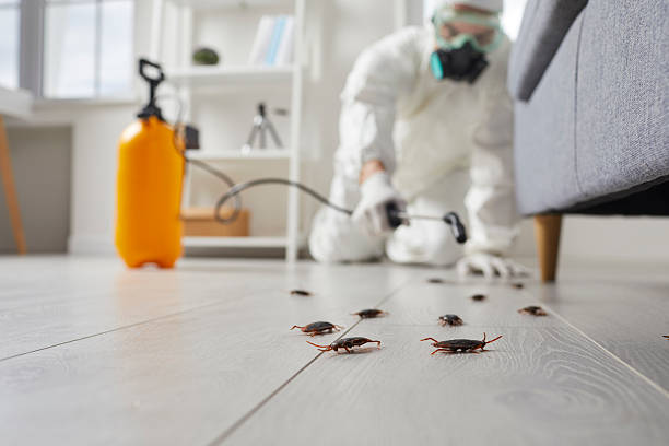 Post-Treatment Bed Bug Interceptor Monitoring in Sedro-Woolley