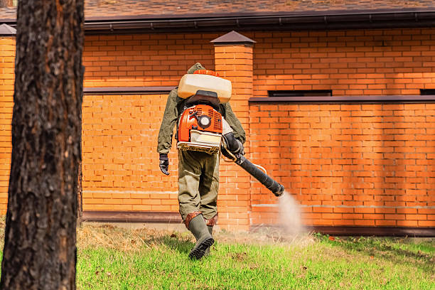Bed Bug Clearance Verification and Documentation in Sedro-Woolley